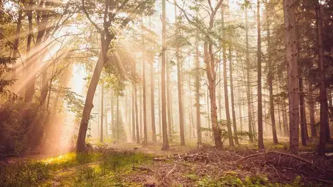 JDG逆风翻盘LNG！Ruler泽丽大龙团战操作封神，经济落后逆转胜局-必赢电竞